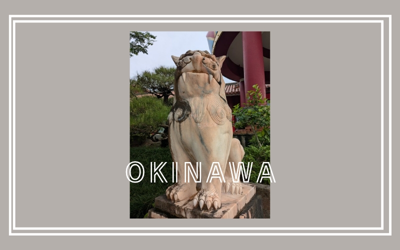 The Guardian Shisa Lion statue at Okashigoten Yomitan Main Store, Okinawa. 沖縄・御菓子御殿 読谷本店の入り口に鎮座する、守り神のシーサー。