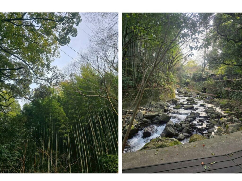 川のせせらぎを聴きながら歩ける、万葉公園のマイナスイオンたっぷりな遊歩道 / Refreshing riverside promenade in Manyo Park, filled with the soothing sound of water.