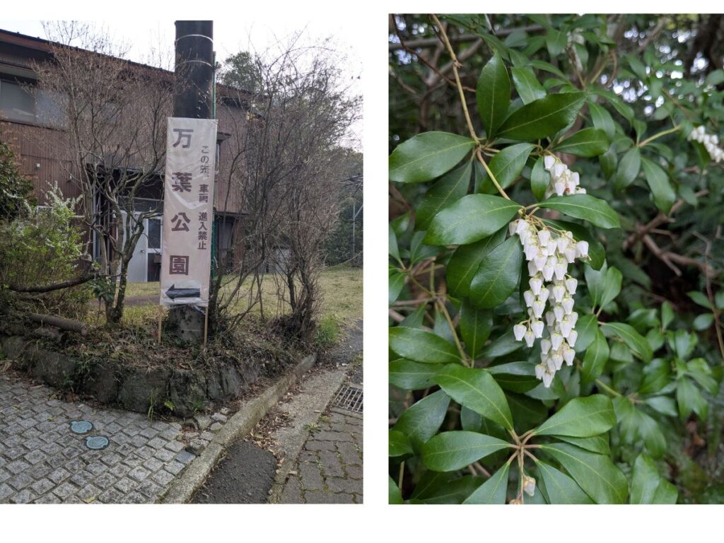 緑豊かな万葉公園の入り口と、風情ある石畳の散策路 / Lush green entrance and charming stone-paved walking path of Manyo Park.