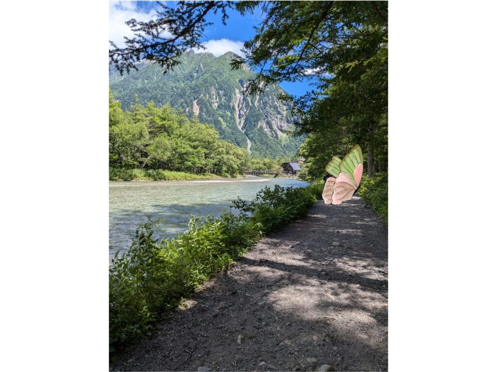 透明度の高い梓川に沿って続く、木漏れ日が心地よい平坦なハイキングコース / A flat, sunny hiking trail with sunlight filtering through trees along the crystal-clear Azusa River.